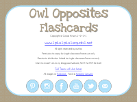 Owl_Opposites_Flashcards.pdf